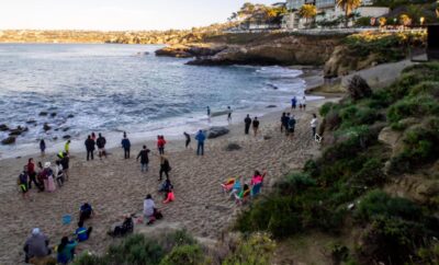 La Jolla Cove: Seals, Tide Pools, and Where to Eat After
