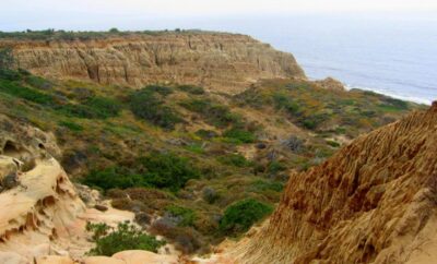 Torrey Pines State Natural Reserve: Trails, Parking, and Best Time to Go